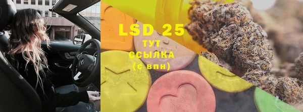 стаф Заводоуковск