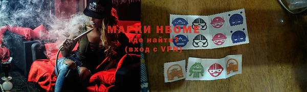 стаф Заводоуковск