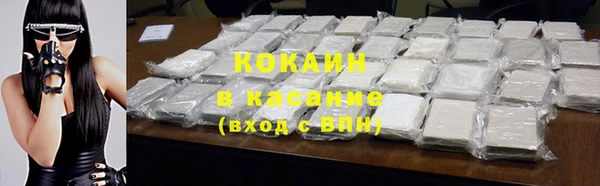 стаф Заводоуковск