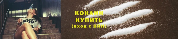стаф Заводоуковск