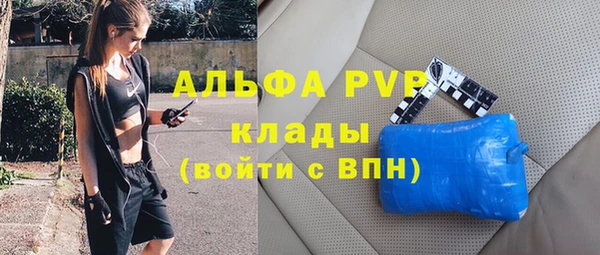 стафф Заволжск