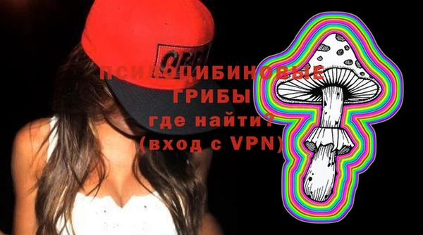 стаф Заводоуковск