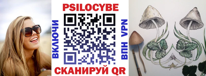 Купить  Далматово  Галлюциногенные грибы Psilocybine cubensis 